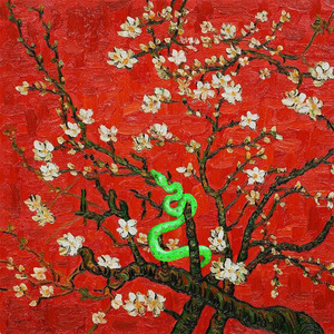 DERRIXON动画下载
