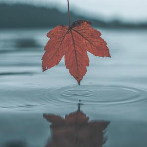 DERRIXON动画下载
