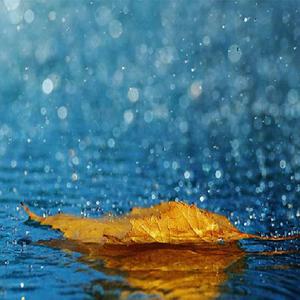 DERRIXON动画下载
